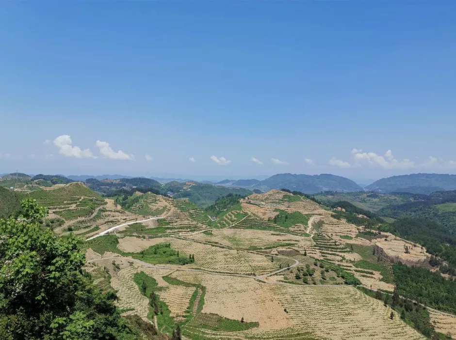 听说过茶油吗？比橄榄油还好，我被长安“安利”后，果断买了两瓶