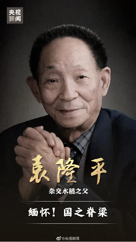 91岁袁隆平去世，5分钟回顾“杂交水稻之父”的一生-第2张图片-大千世界