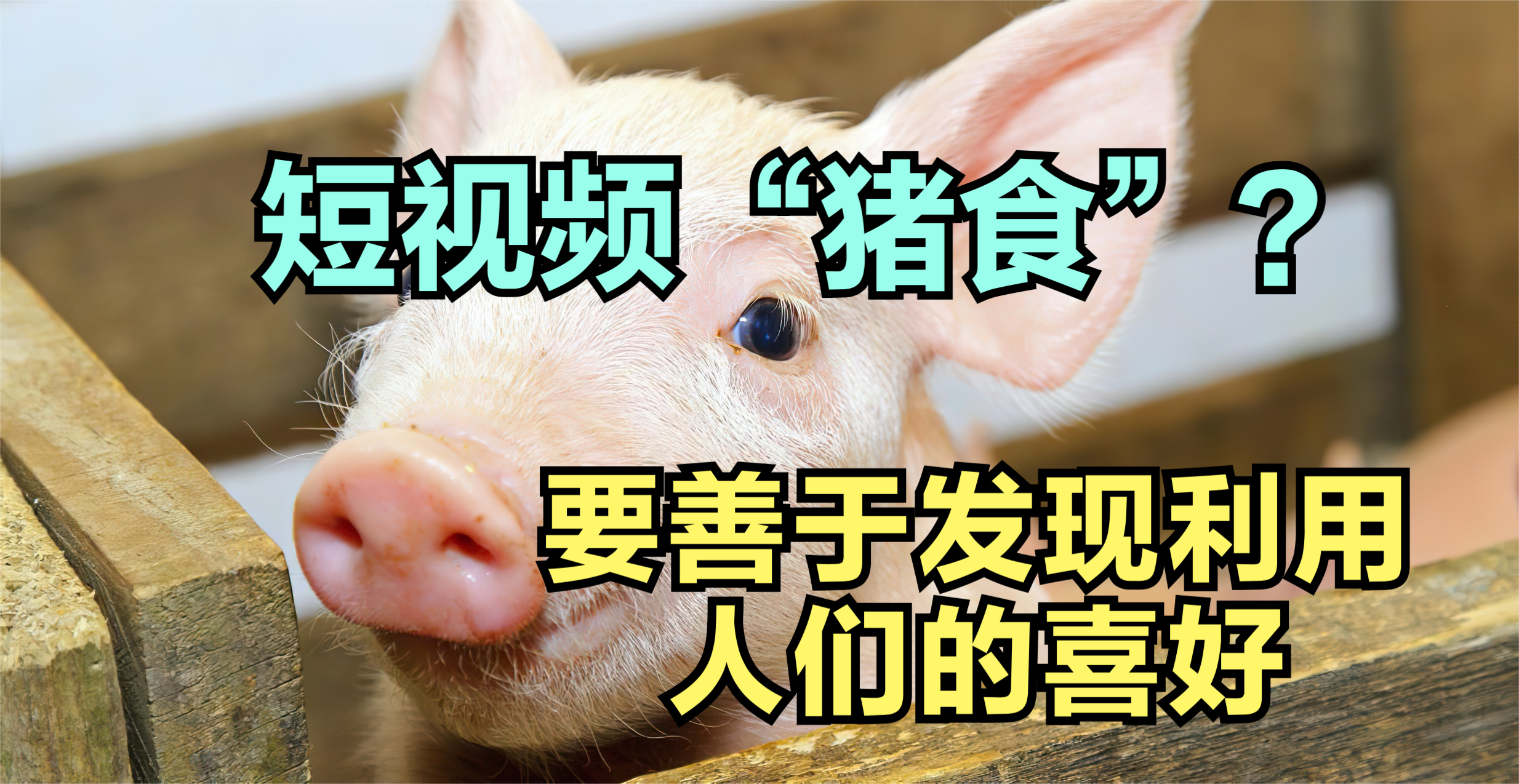 从短视频是“猪食”说起，要善于发现并利用人们的喜好