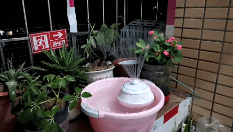 哄娃利器，会喷水会唱歌，可以陪娃洗澡的魅动Whale音箱