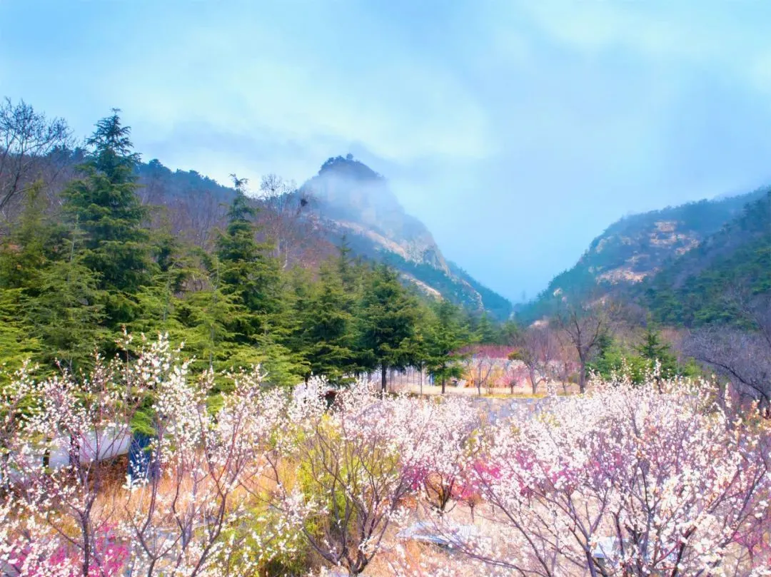 清明假期天蒙山风铃节启幕！邀您春游打卡赢门票，免费挑战高空蹦极、漂流、滑翔伞！
