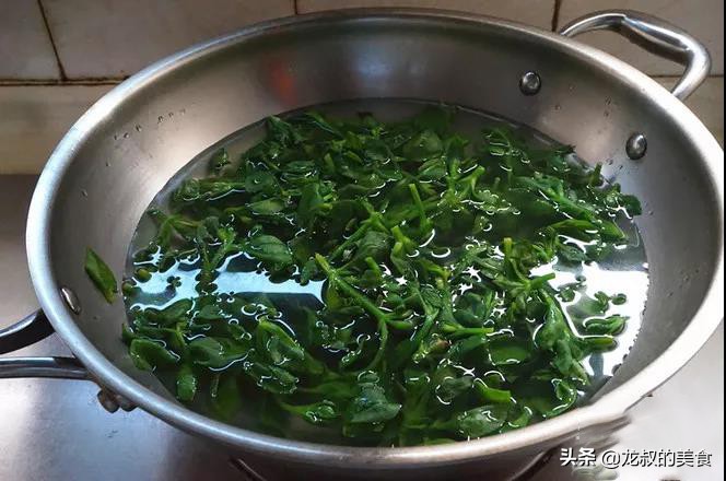 它是花也是药还能当菜吃，夏天吃它解热消炎防治感冒还能治肺结核