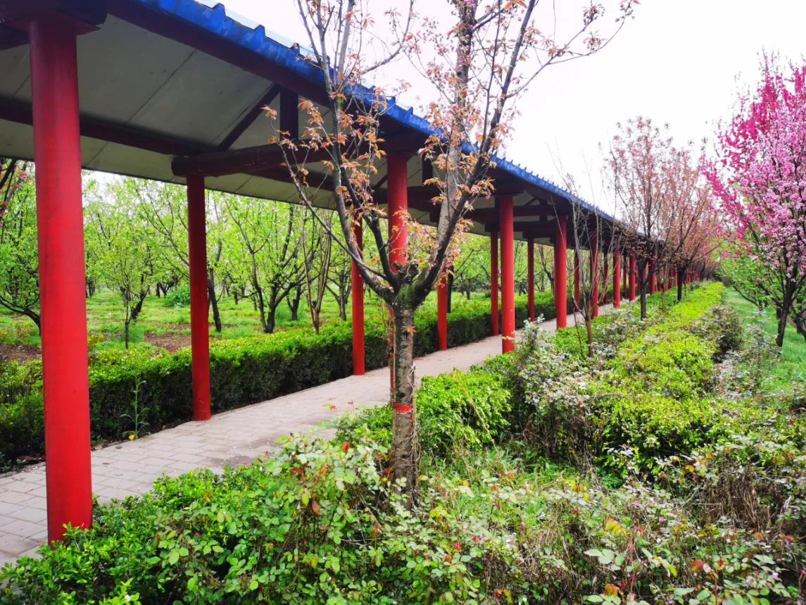 以非凡致敬平凡,新未来为西安师生打造3000亩研学及劳动教育基地