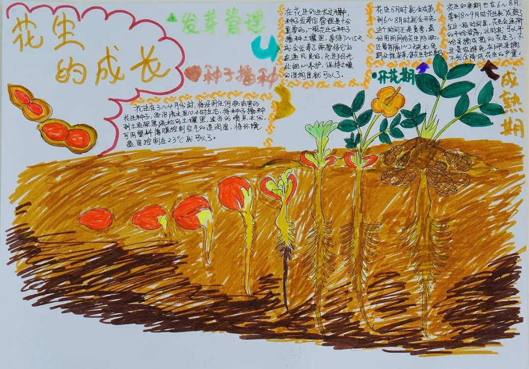 玩转科技节，开广好奇心——天府新区华中附小首届科创节活动