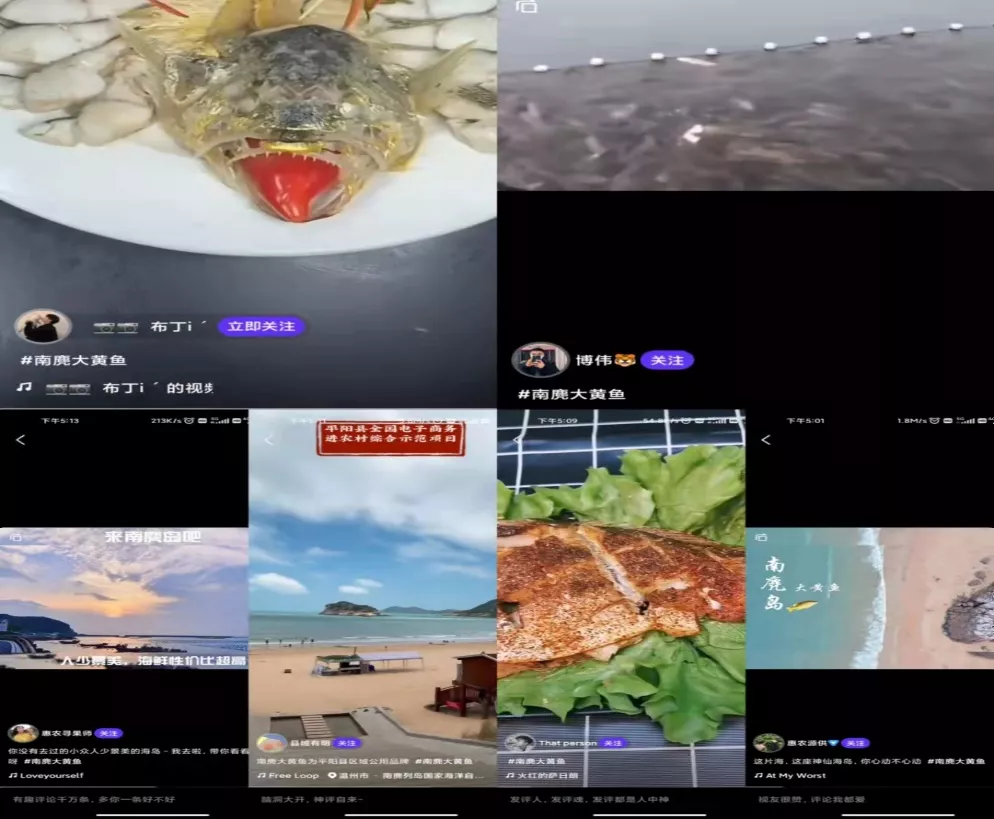 电子商务进农村 惠农网农村电商项目 每周精彩回顾(第十四期)