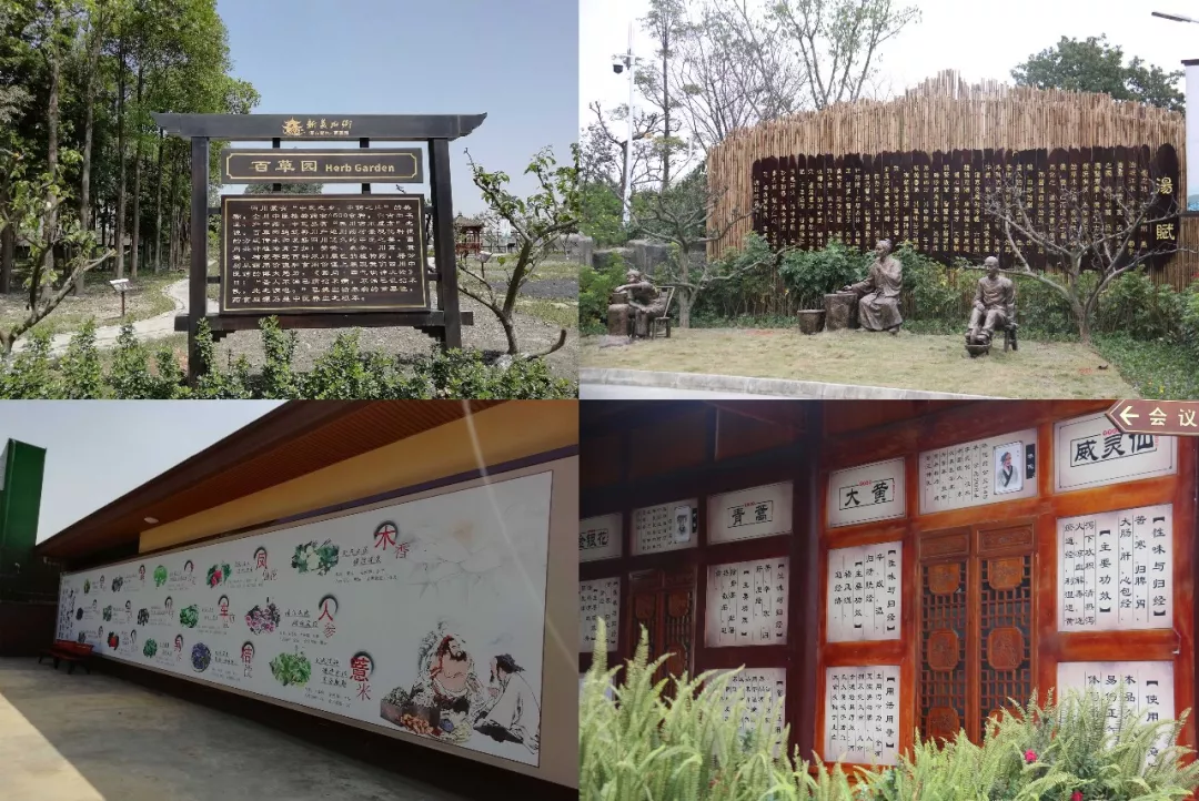 国庆旅游去哪玩？这些四川省中医药基地了解一下！
