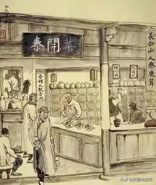 树文化自信，社区妇联执委带你探寻本土中医药文化