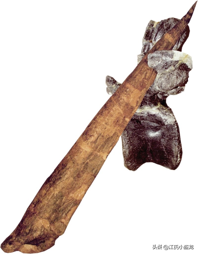 西班牙恐龍殺人？真相來了