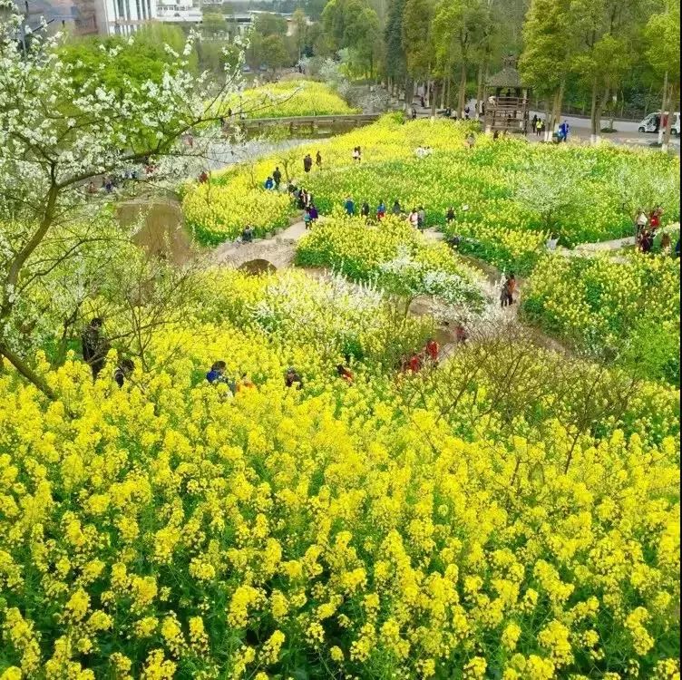 重庆48小时游玩攻略，来一场说走就走的旅行