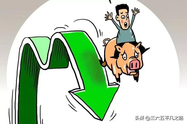 3.9猪价“断崖式”下跌，还有3个坏消息会影响到猪价