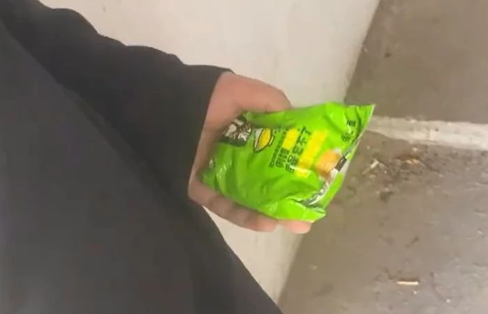 ��ʦż��ѧ����������ʳ