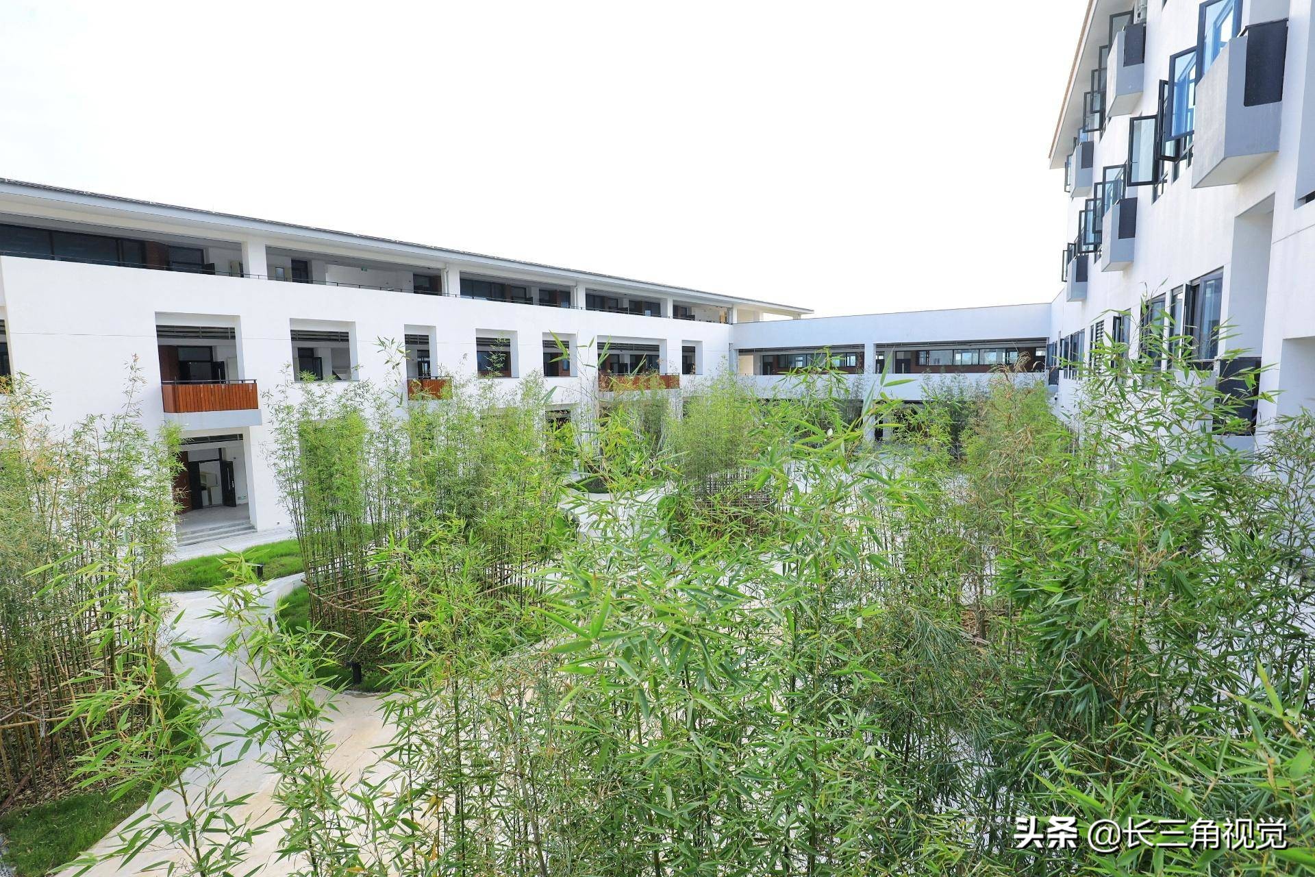 湖州市滨湖高级中学的"高颜值"即将亮相(图22)