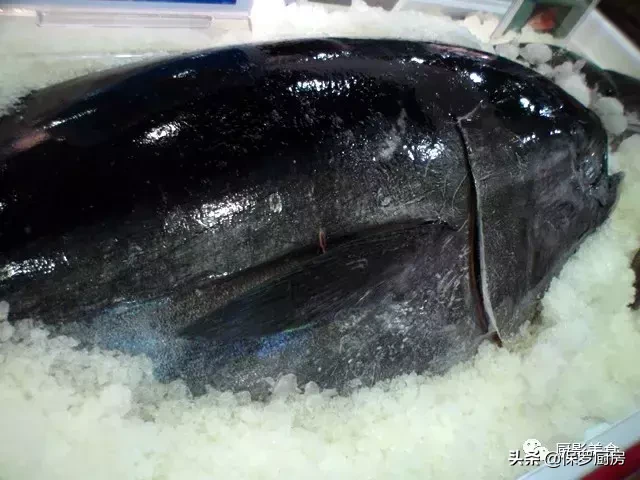 史上最全的顶级“海鱼”海鲜大全,全吃过的你人生就到达了巅峰!