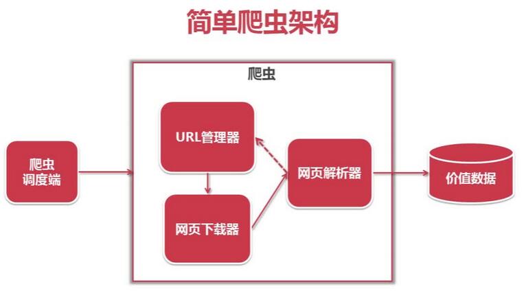 突然爆火的Python到底是什么？