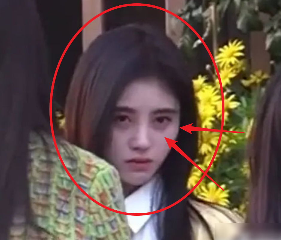 鞠婧祎久违去云南旅游-第9张图片-大千世界