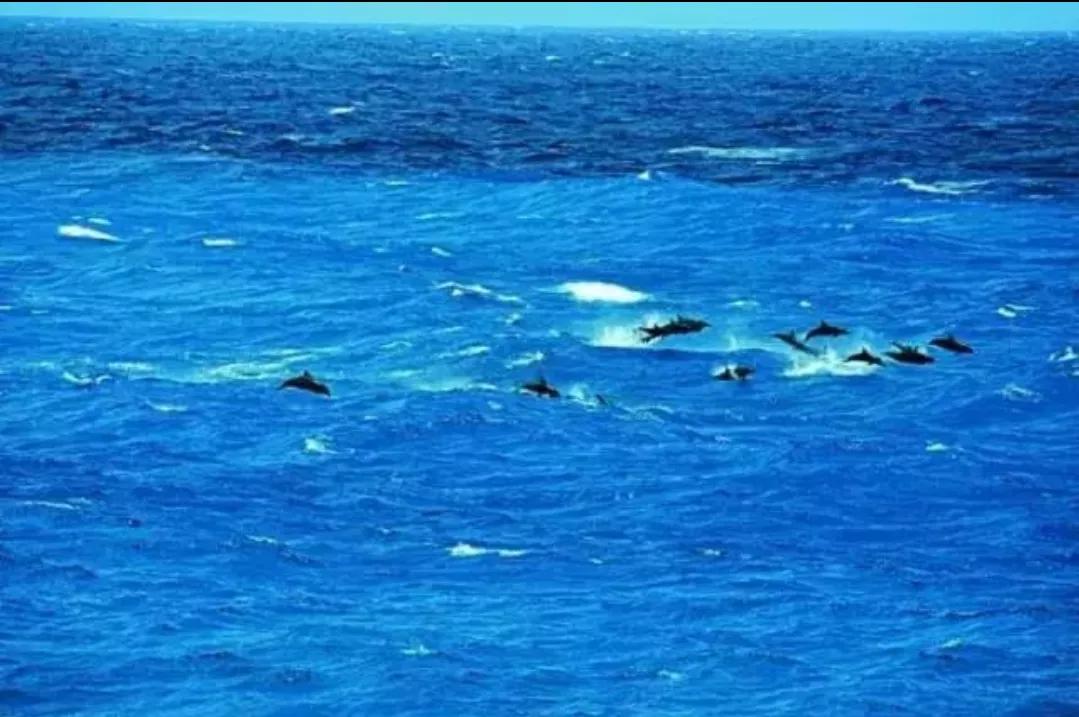 ����Ϻ���Ҫ�����һ���� �ĸ����м�ֵ