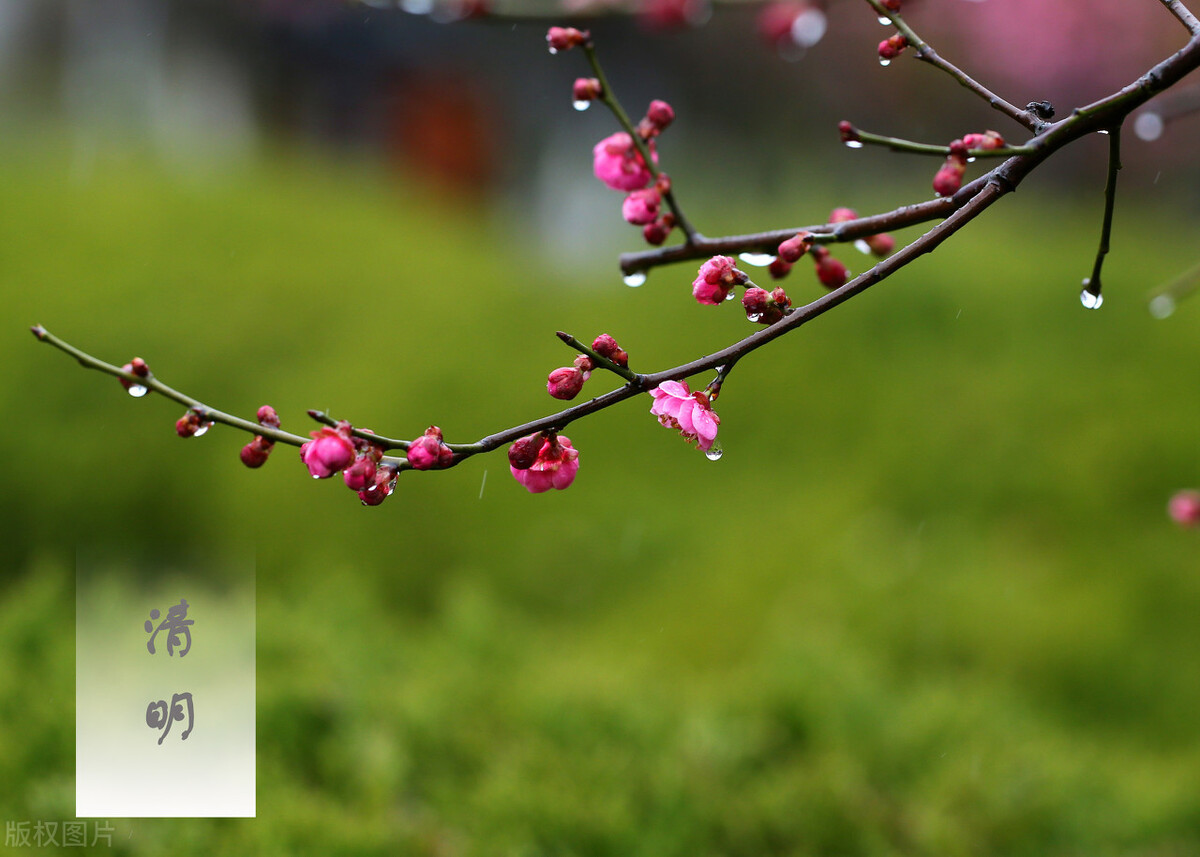 愚人节营销那些事？我们该怎么对待“洋节”呢？