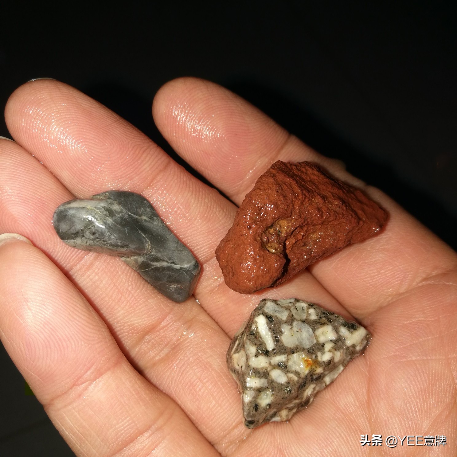 第一次養魚，記住魚缸濾材擺放順序，少出錯