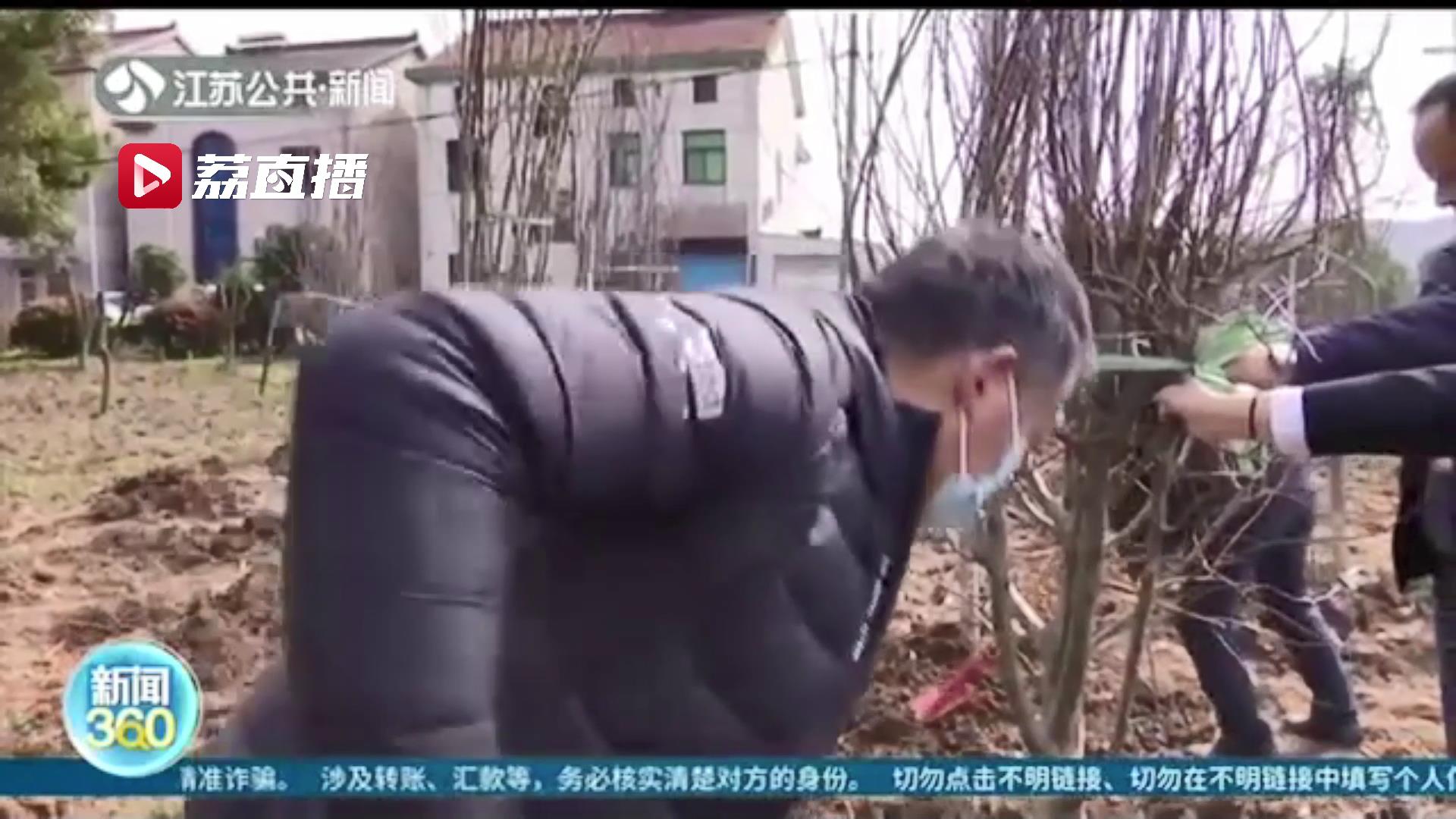 常州一护林员破坏林地获刑 罚&ldquo;劳务代偿&rdquo;三年