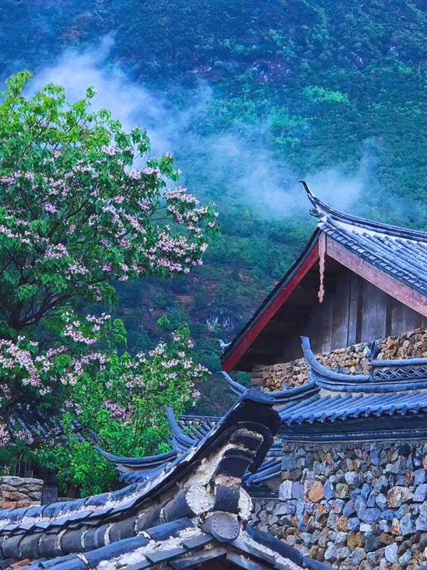 The village of Lijiang is full of stones. The American botanist has lived here for 27 years and is unmarried all his life.