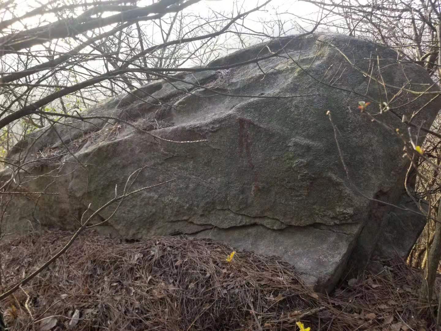 重大考古发现：合肥首次发现大规模史前凹穴岩画群