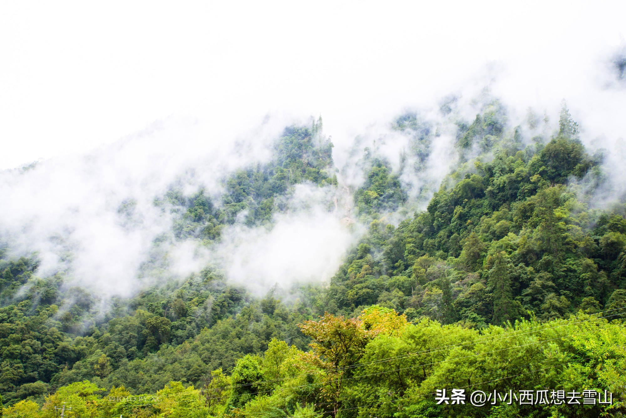 川藏318线上的传奇，历史的见证者，也是川藏公路新的地标性景观