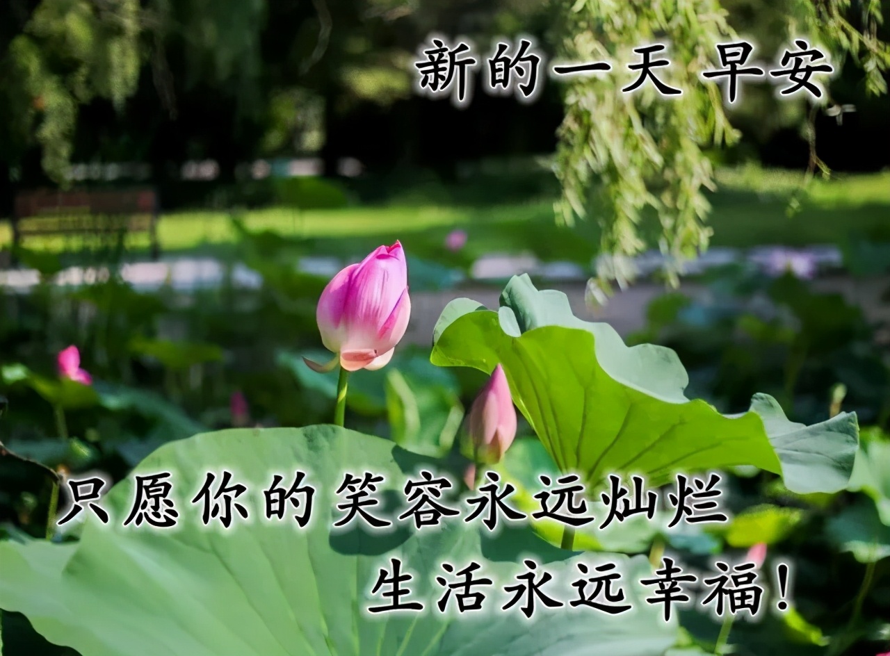 早上好问候语动态表情图文字，微信新的漂亮祝福语图片图片