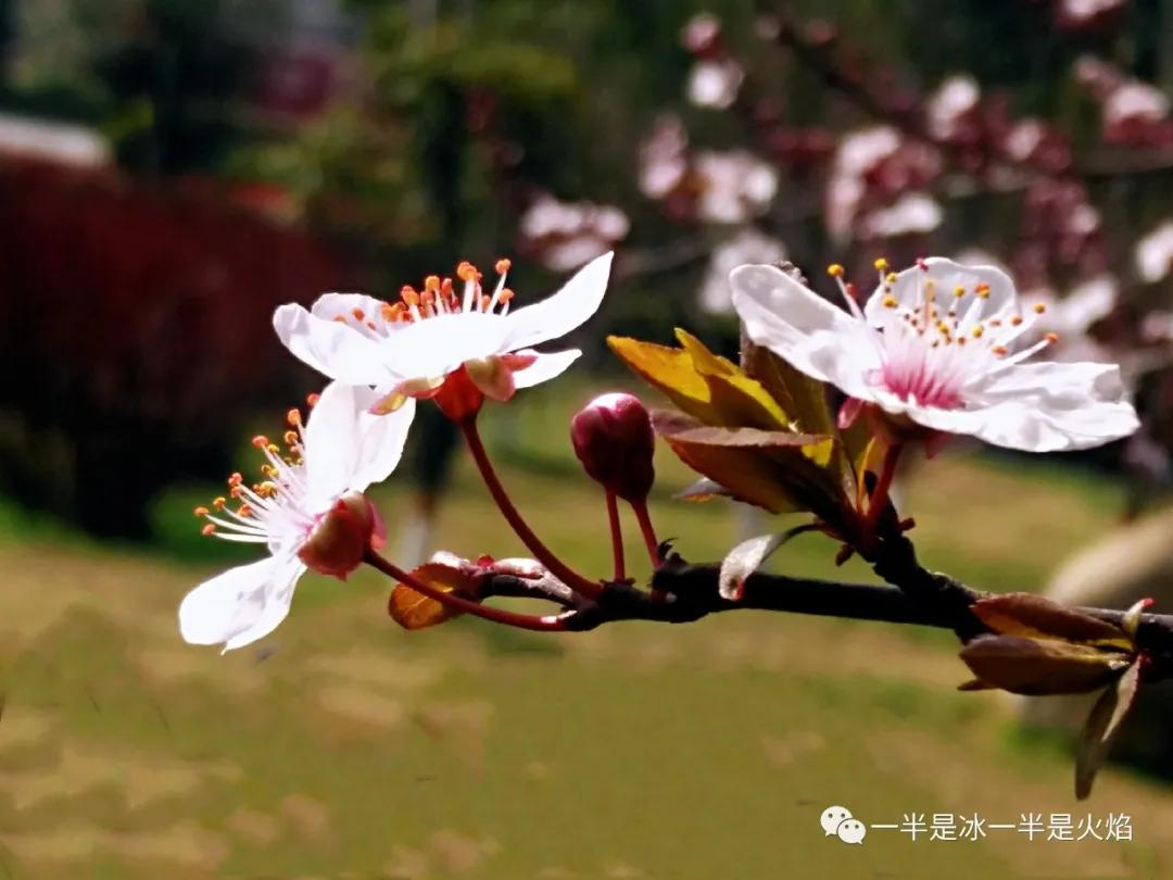 随笔:你那里下雨了吗-第6张图片-非凡网 随笔:你那里下雨了吗-第6张图片-非凡网