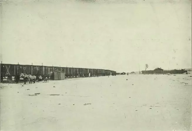 百年前中国的一次重大疫情