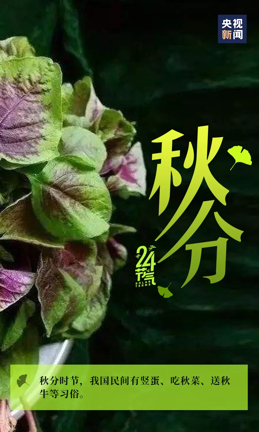ⷨԷ