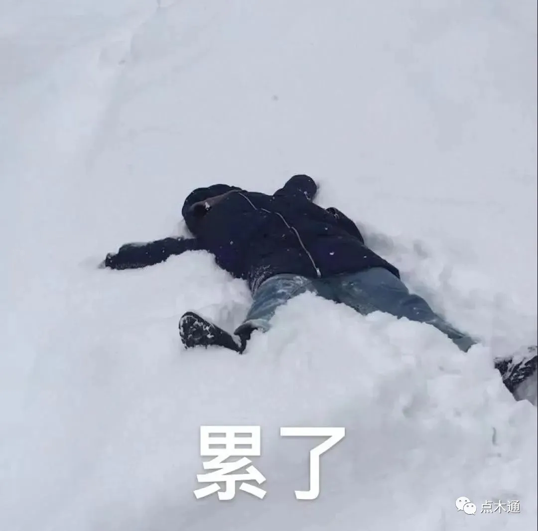 明人不说暗话，木材人表示：我需要你的回款支持