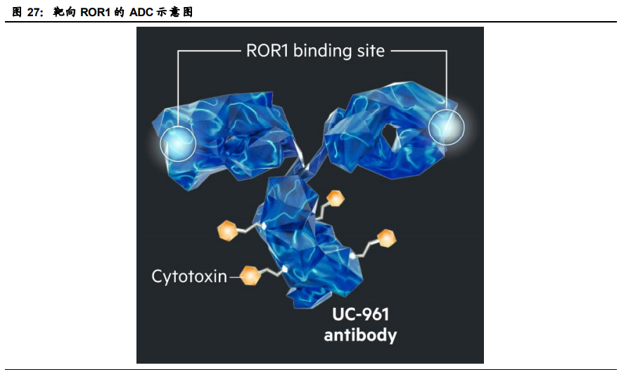 创新药行业专题报告：ADC药物迎来黄金时代