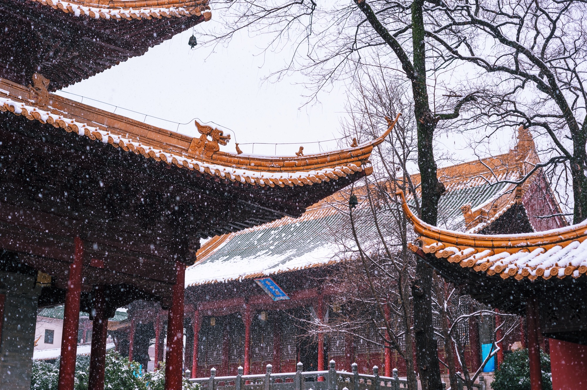 南京下雪啦 雪后南京必打卡的绝美赏雪地 朱元璋亲自为其赐名 旅游 蛋蛋赞
