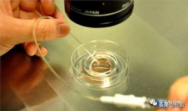 只有生出更多的后浪，才有机会后浪推前浪