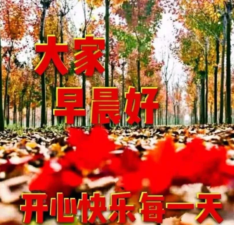 2021最美早上好问候语短信祝福带图片 朋友圈新版早晨好动态图片图片