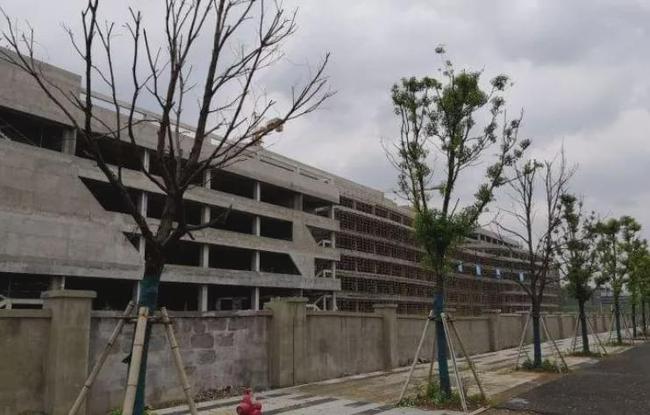 被官媒痛批，全网震怒！他们沦为全民公敌，一点都不冤