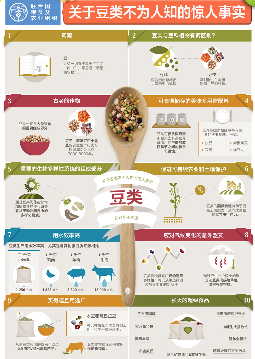 豆中之王，田中之肉，“豆状元”助推“世界豆类日”攀高峰