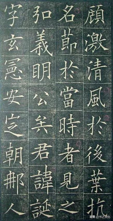 被修复后的欧体,美到骨子里