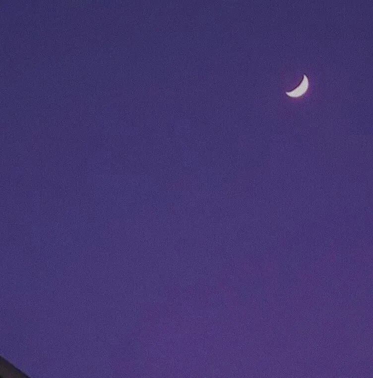 朋友圈背景圖丨心中有暖 何懼人生荒涼