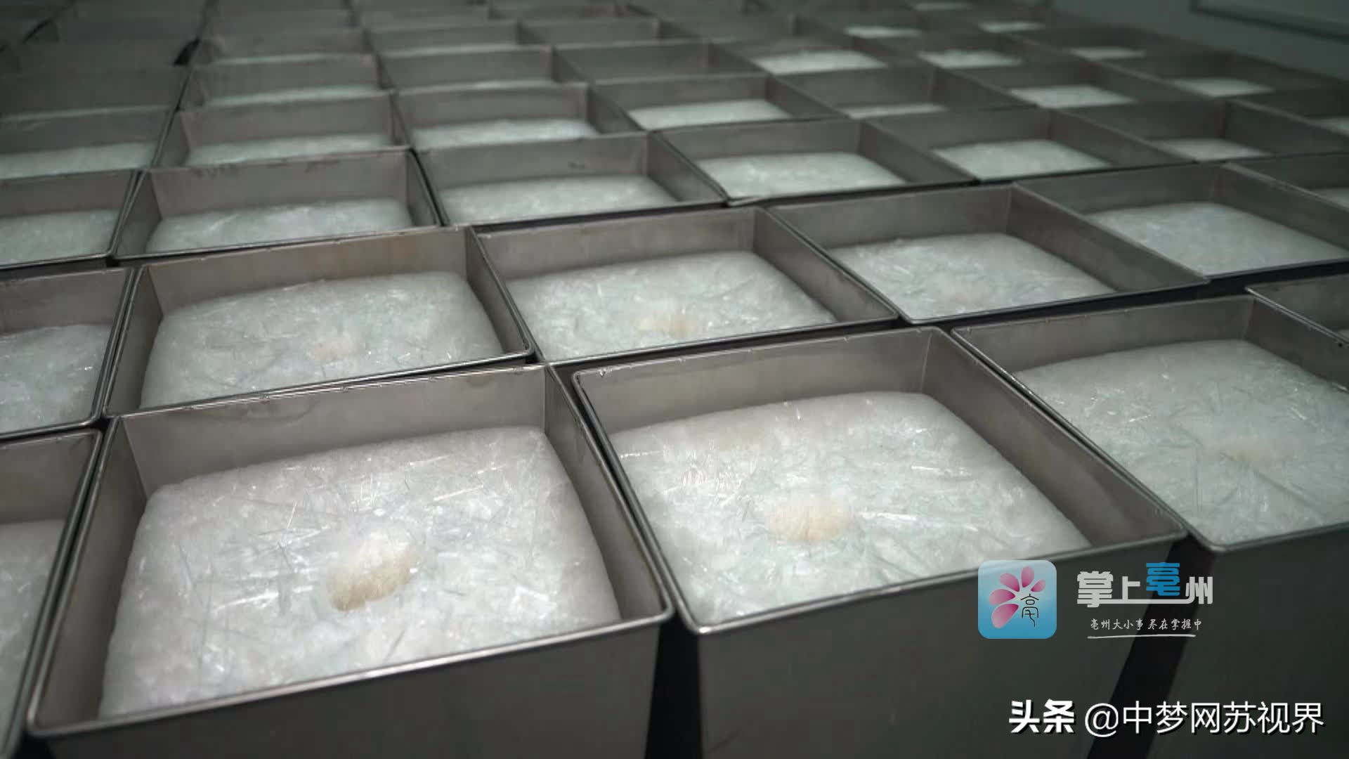 构建全产业链体系 建设“世界中医药之都”