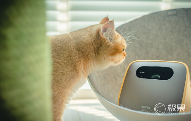 Measuring projector also plays " move feeling " , intelligence loves a look, 