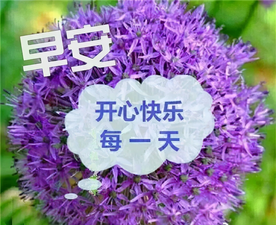 一辈子好短，对自己好一点儿，忙碌的你，要注意休息。早安