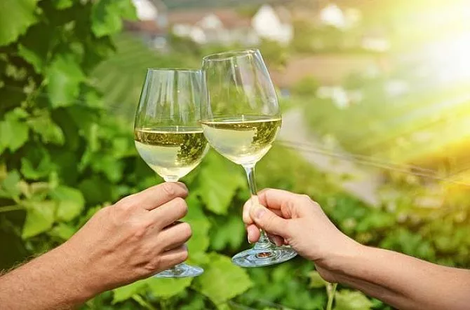 酒精度越高的葡萄酒质量更好、更值钱吗？恐怕不是......