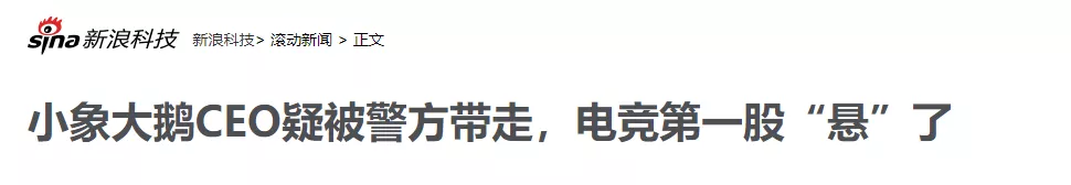 CEO因涉嫌开设赌场被警方传唤,小象大鹅还能上