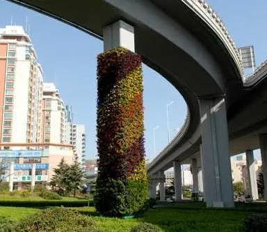 高架桥立体绿化---秀出城市绿色新景观