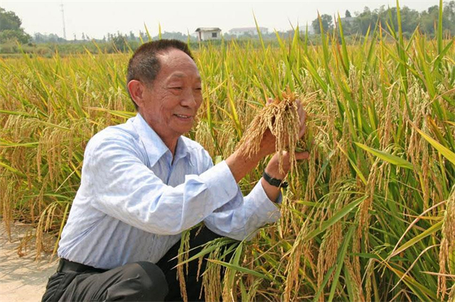 毛主席时代，中国创造了多少GDP？