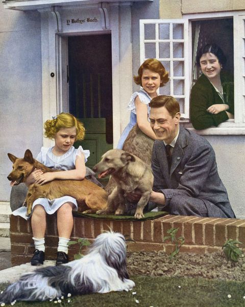 为王室牺牲爱情婚姻！100张照片看玛格丽特公主