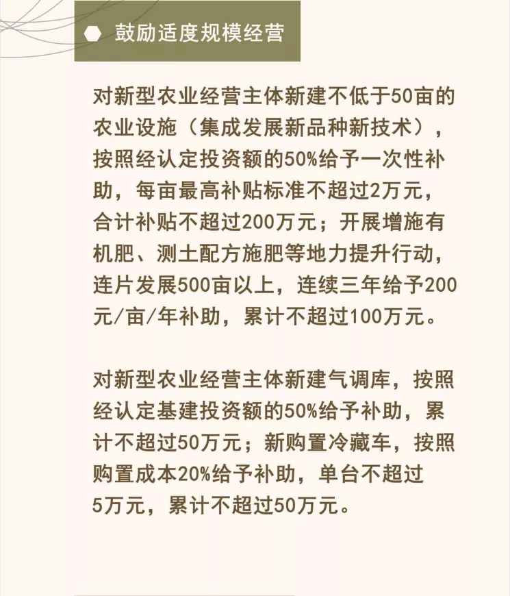 乡村振兴高质量发展十条政策