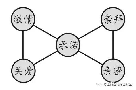 何处安放的5m感情？