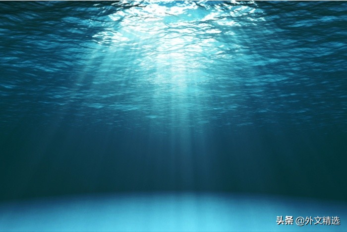 16张图片让你看看海洋有多恐怖 其他 蛋蛋赞